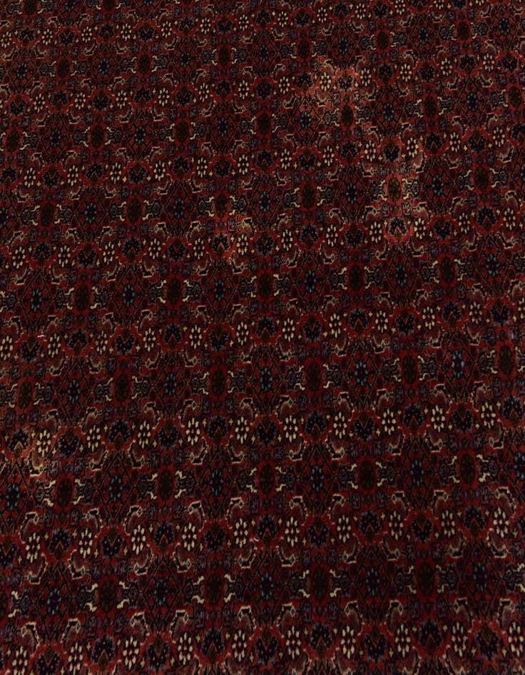 Detail image of  6' 10 x 10'  Hand Knotted Bidjar Persian Wool Rug