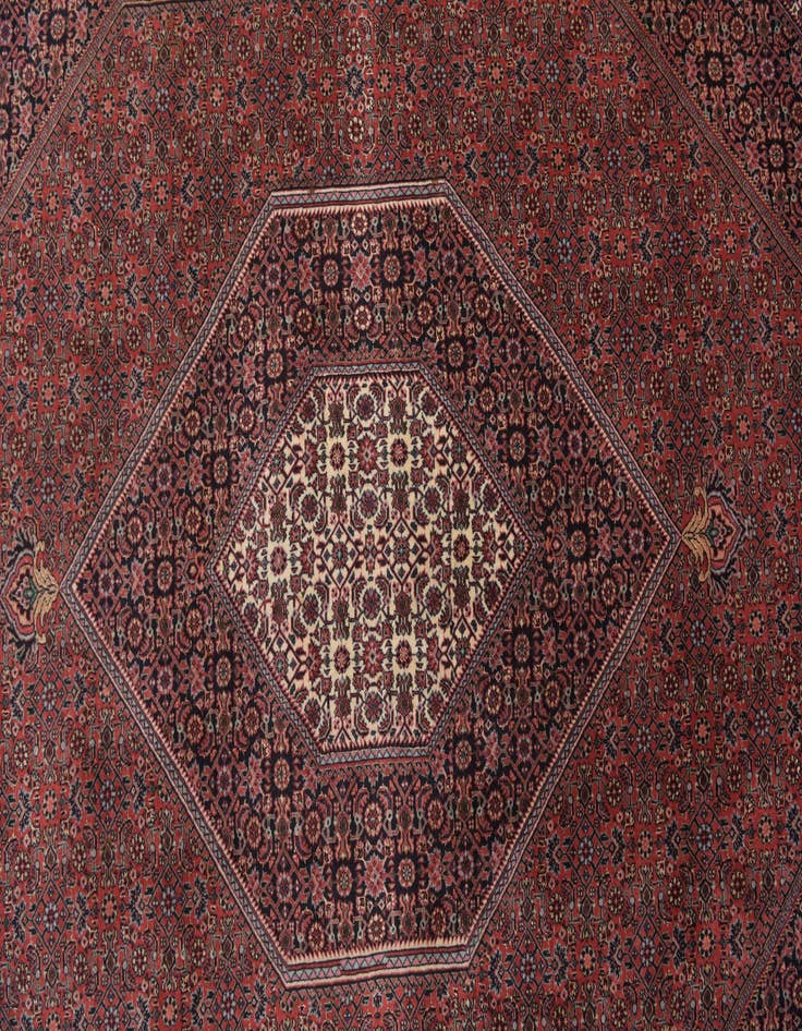 Detail image of  6' 5 x 10' 1  Hand Knotted Bidjar Persian Wool Rug