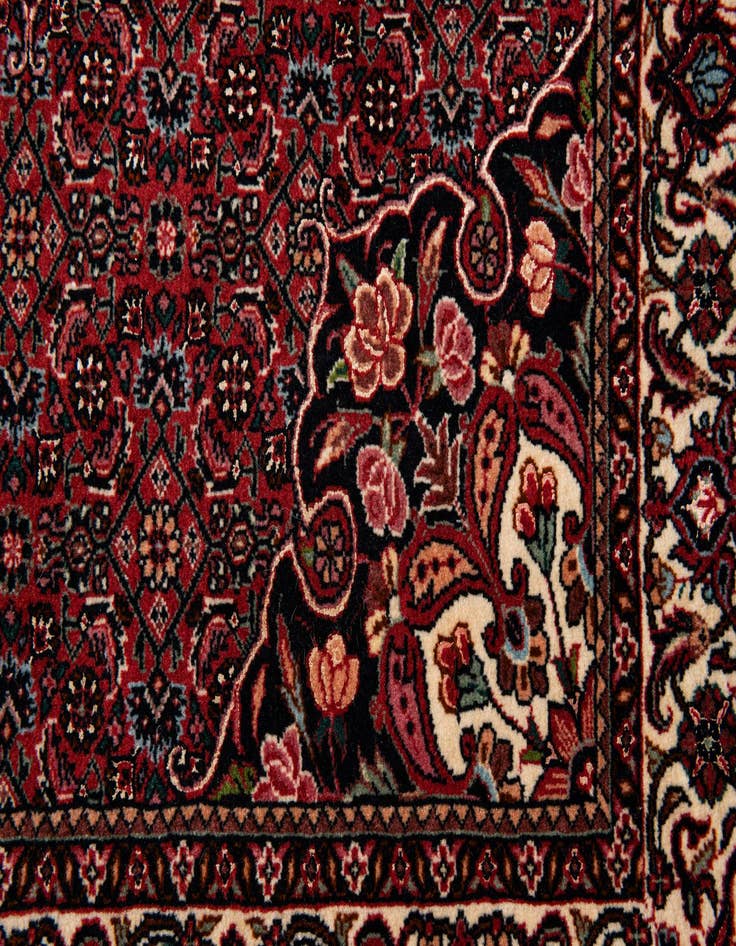 Detail image of  3' 8 x 5' 9 Bidjar Wool Rug