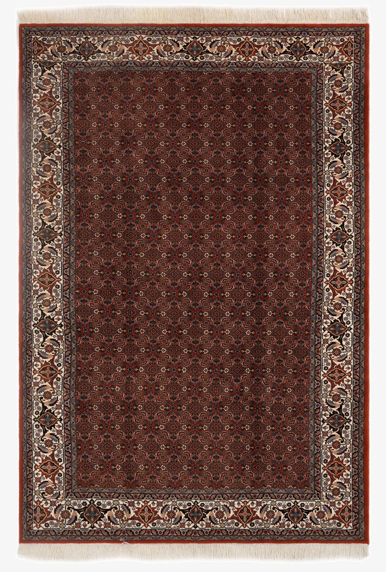  6' 7 x 9' 10  Hand Knotted Bidjar Persian Wool Rug