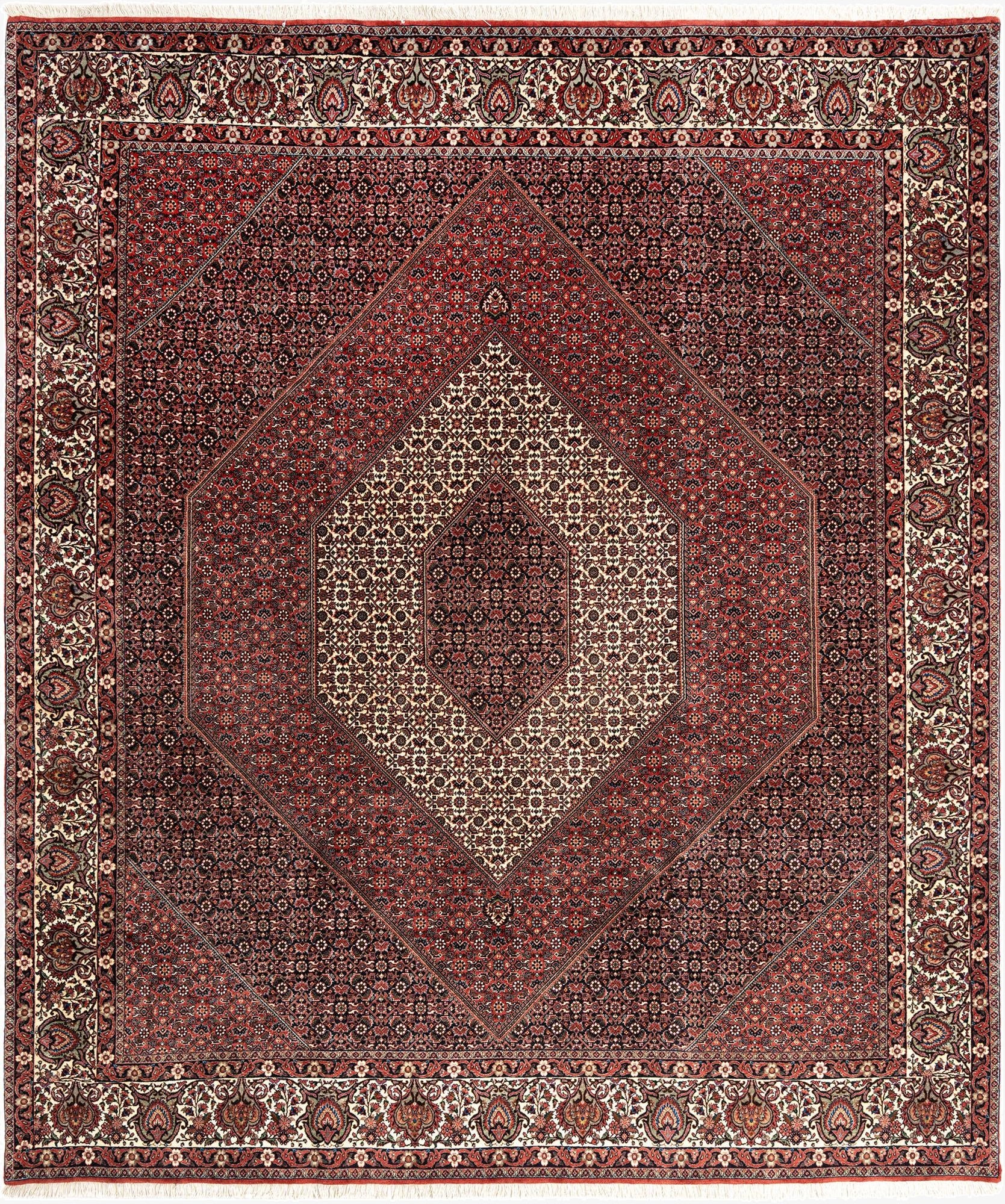  8' 5 x 9' 9 Bidjar Wool Rug