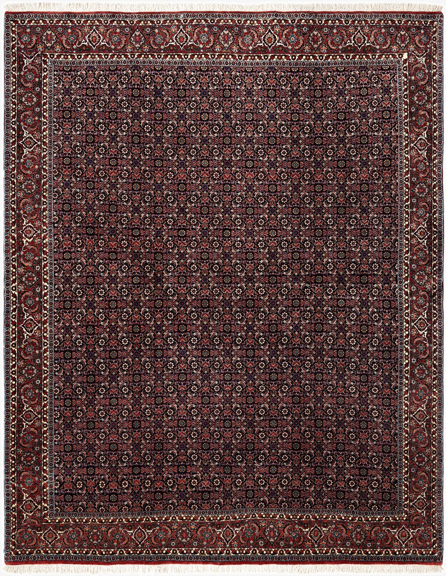  6' 9 x 8' 3 Bidjar Wool Rug