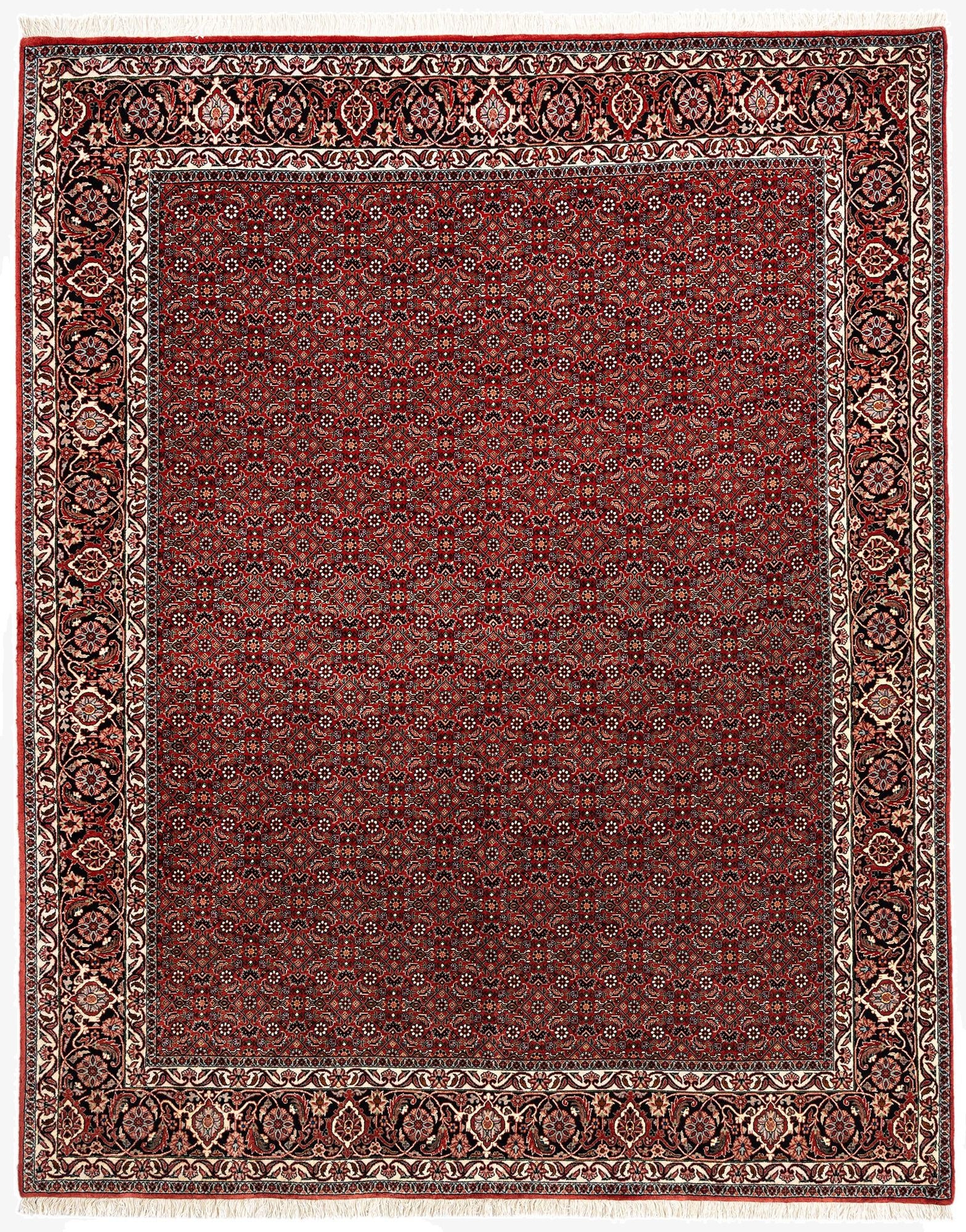  6' 6 x 8' 3 Bidjar Wool Rug