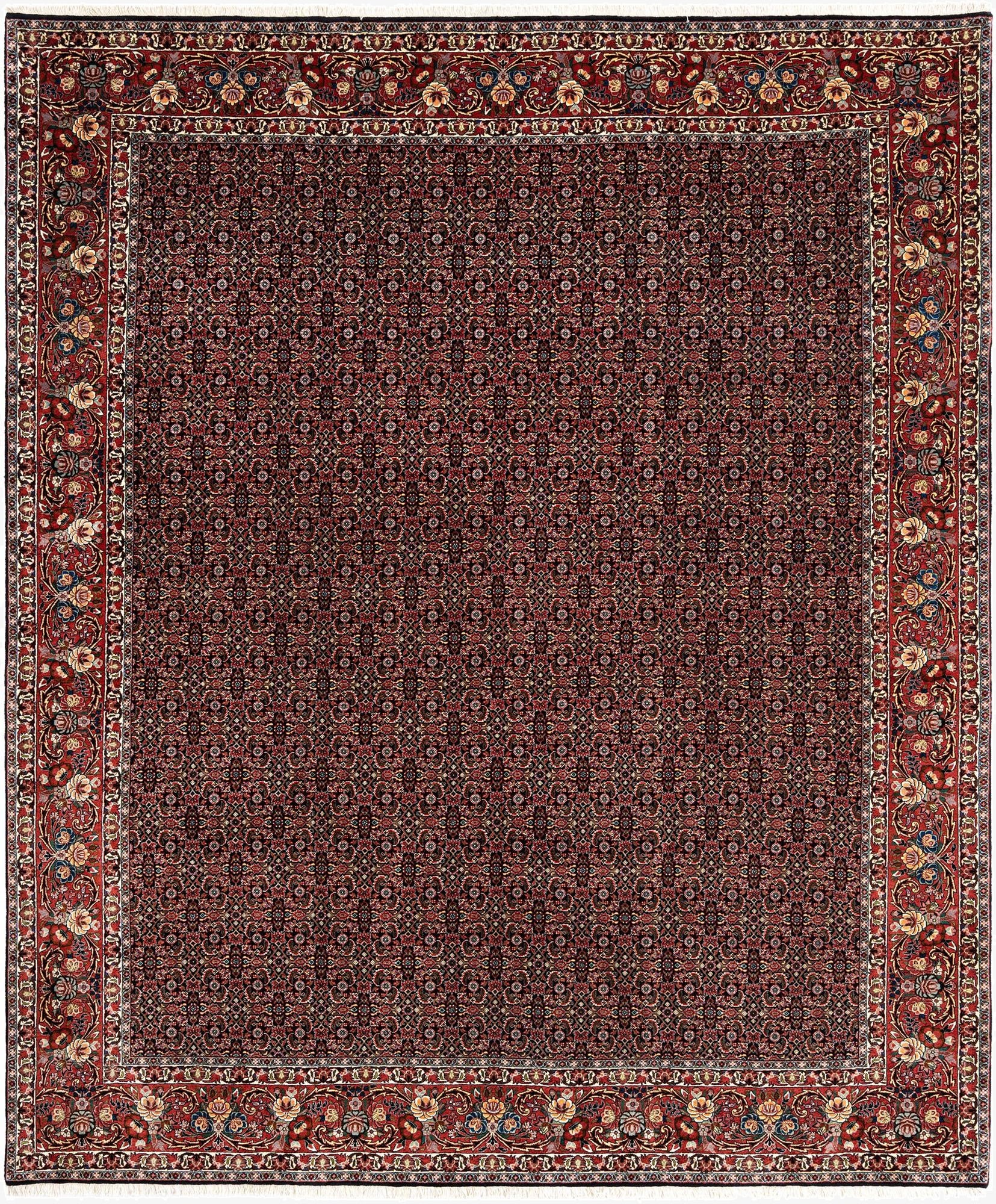  8' 5 x 10' Bidjar Wool Rug
