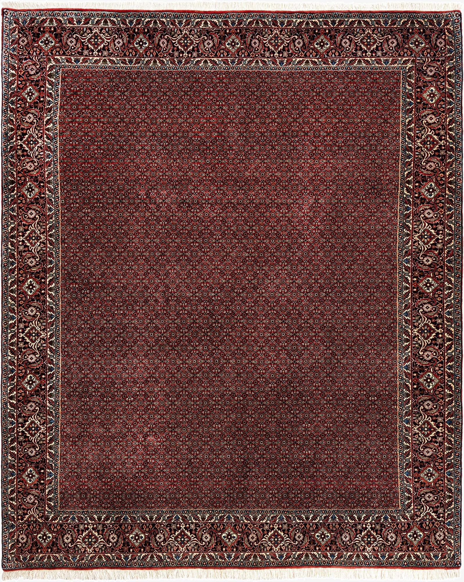  6' 7 x 8' Bidjar Wool Rug