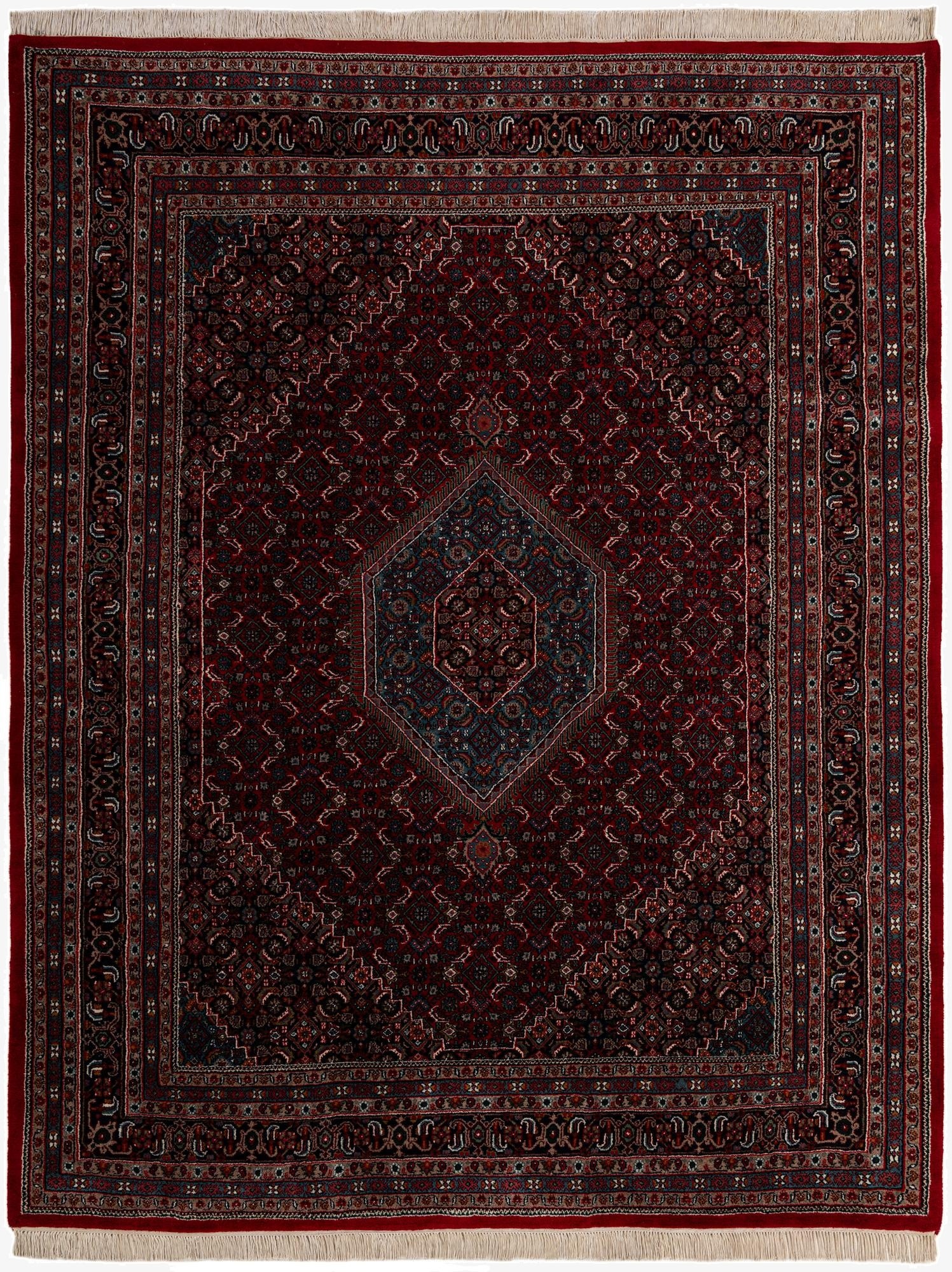  8' x 10'  Hand Knotted Bidjar Wool Rug