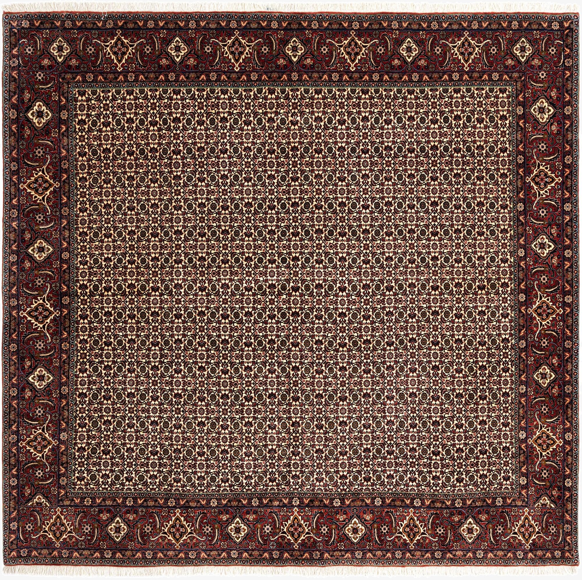  8' 2 x 8' 7 Bidjar Wool Rug