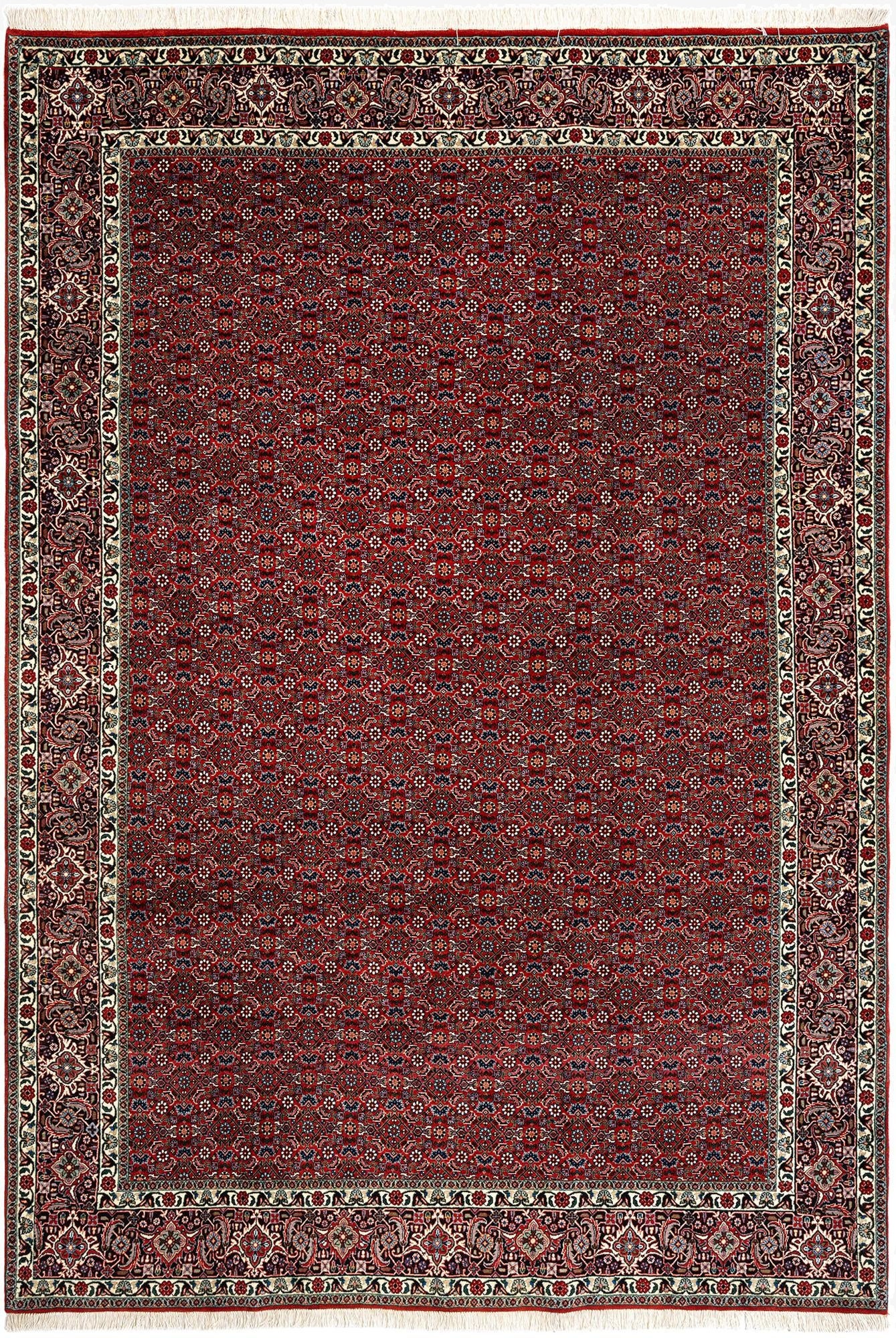  6' 9 x 9' 9 Bidjar Wool Rug