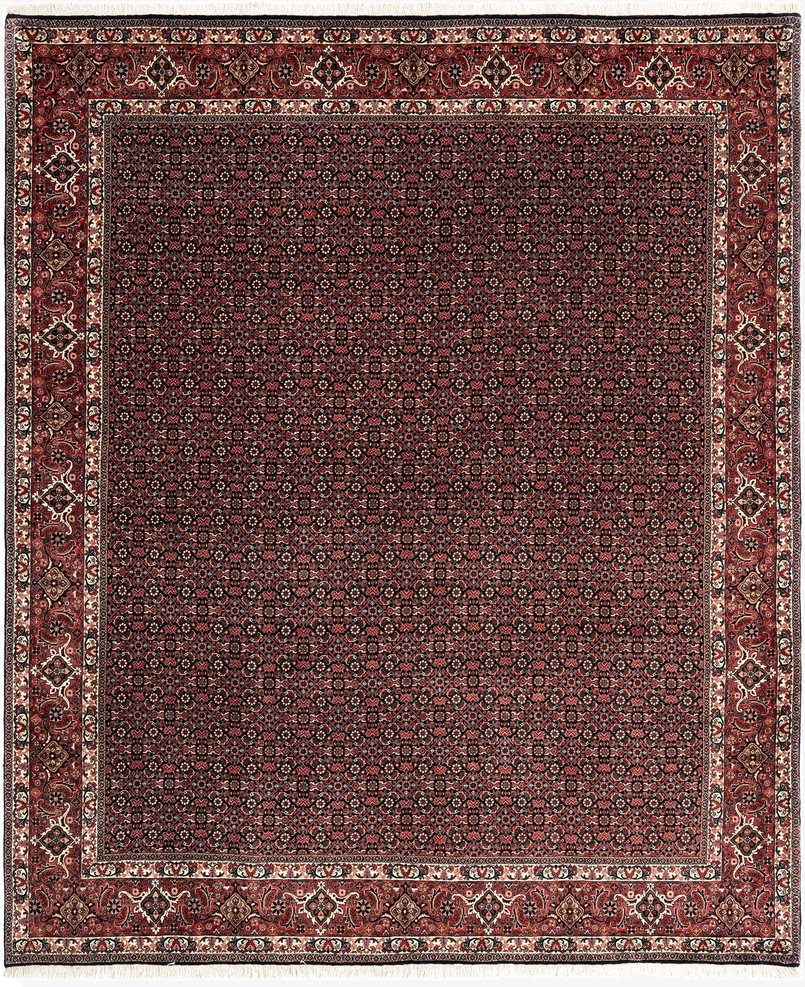  8' 2 x 9' 9 Bidjar Wool Rug