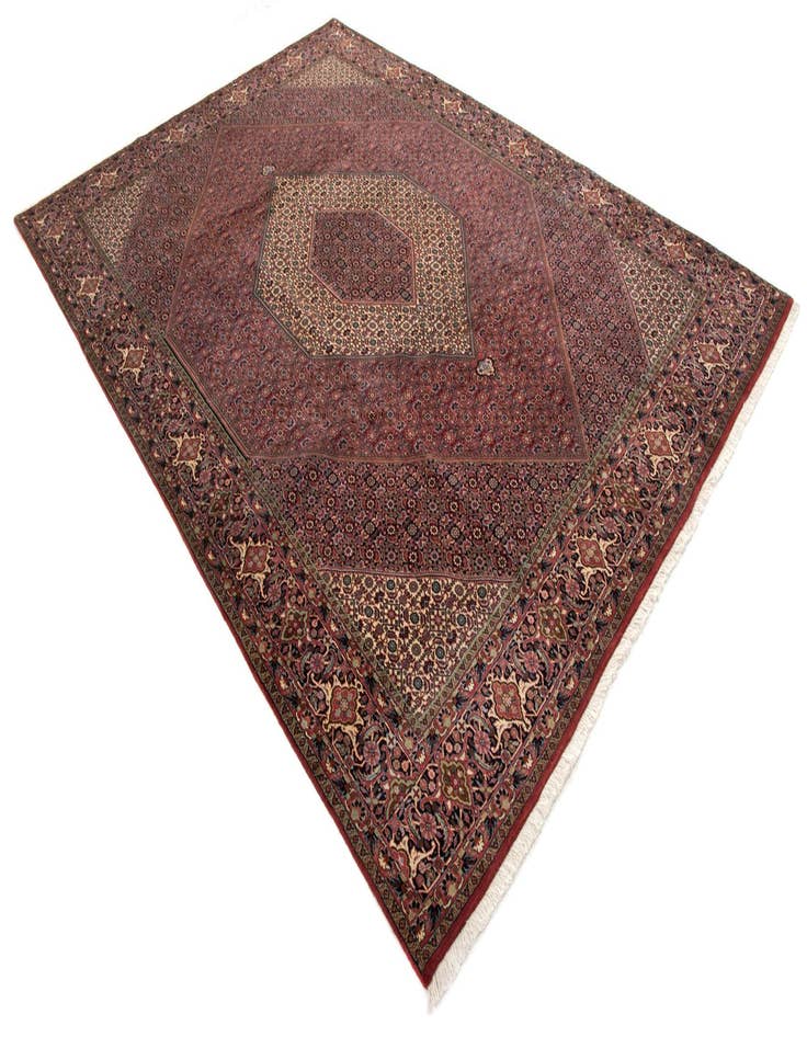 Detail image of  8' 2 x 11' 8 Bidjar With Silk Rug