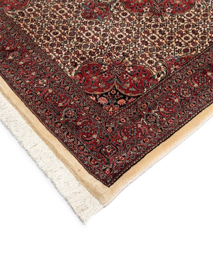 Detail image of  5' 1 x 7' 6 Bidjar With Silk Rug
