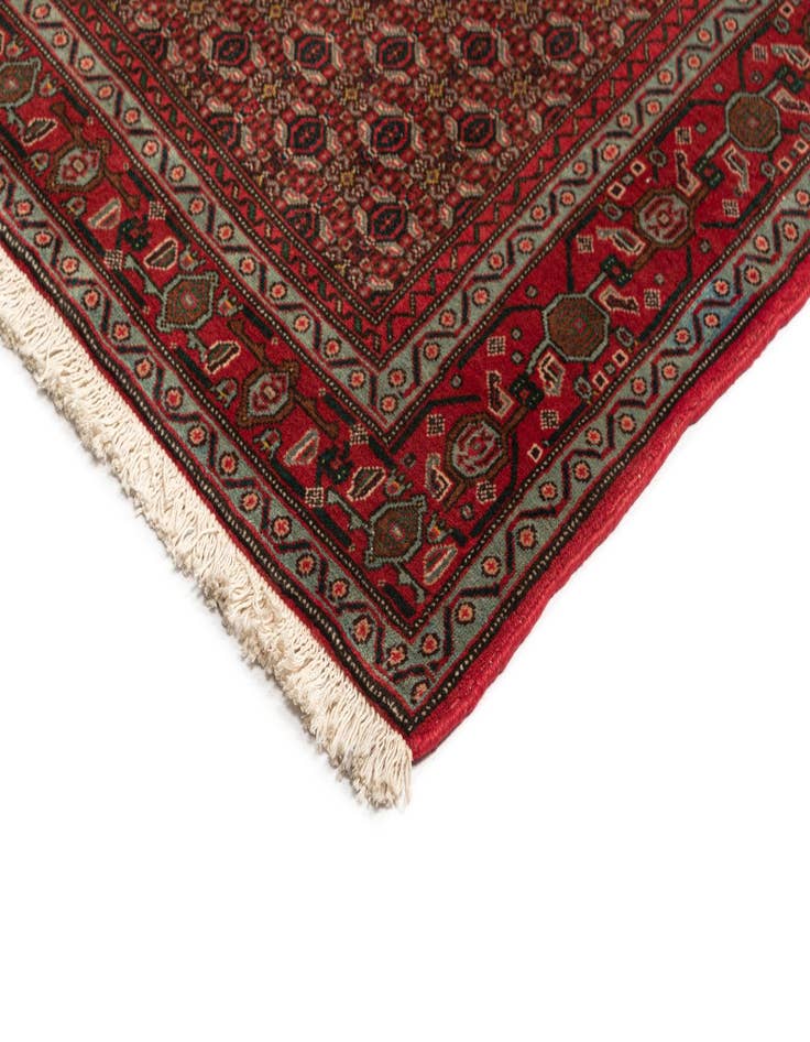 Detail image of  10' x 13' 2 Birjend Rug