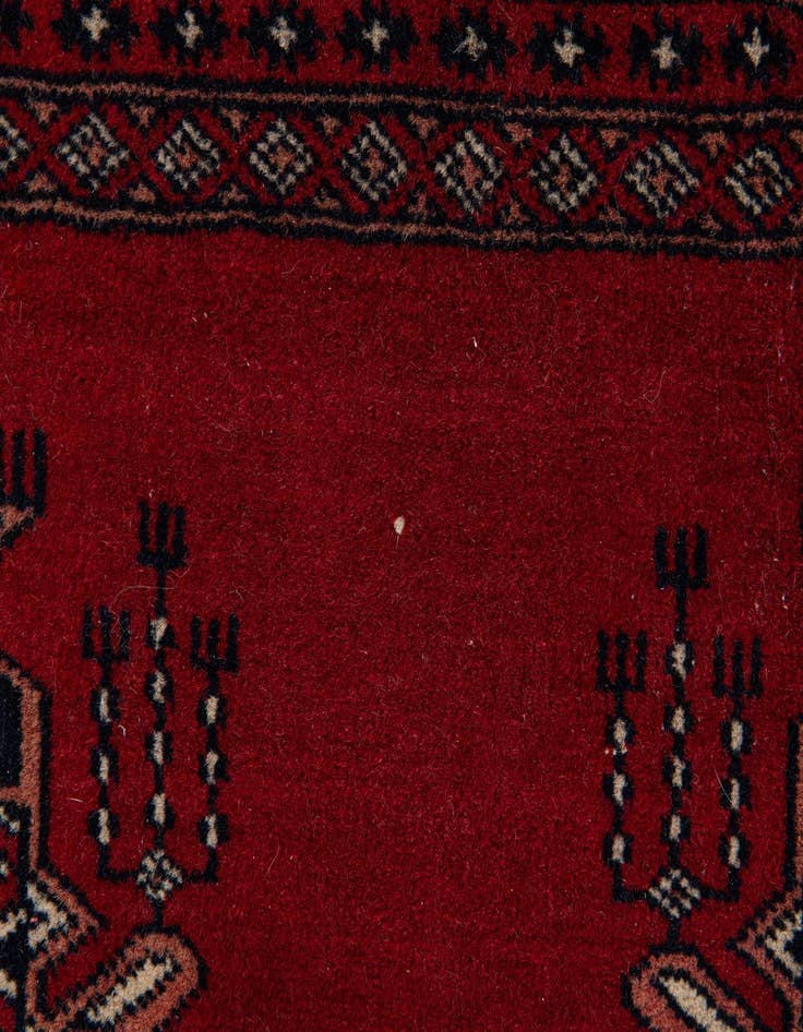 Detail image of  3' 1 x 4' 4  Hand Knotted Bokhara Oriental Wool Rug