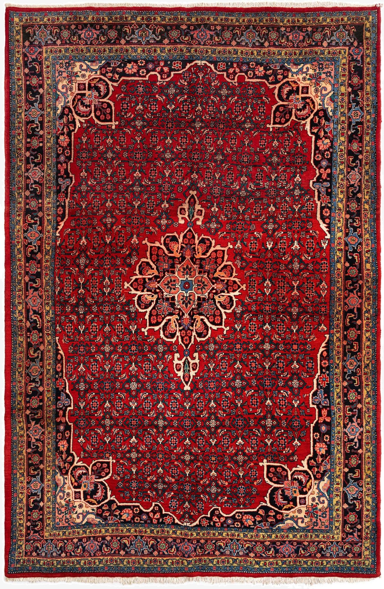  7' 1 x 10' 11 Darjazin Wool Rug