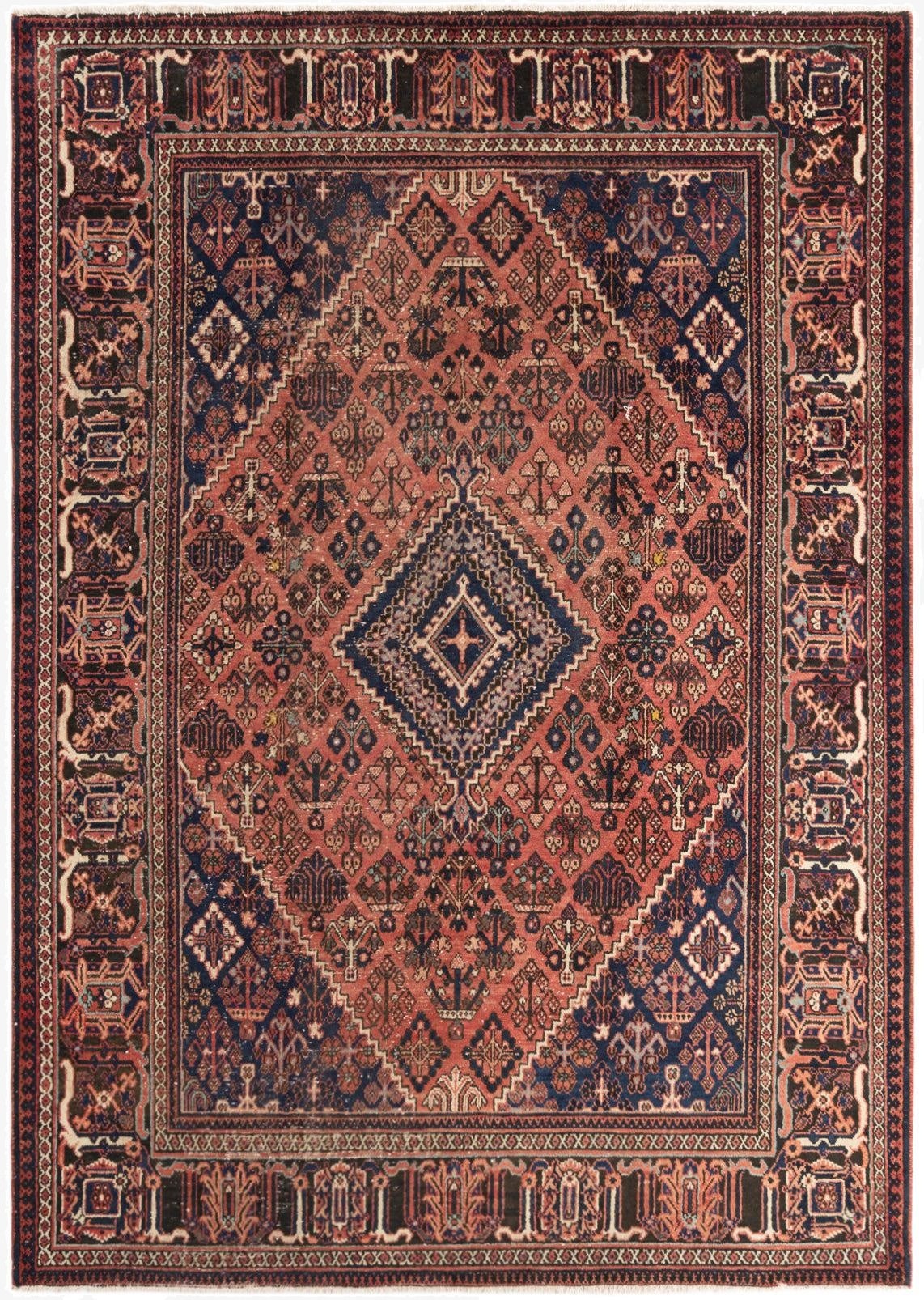  7' 3 x 10' 5 Farahan Rug
