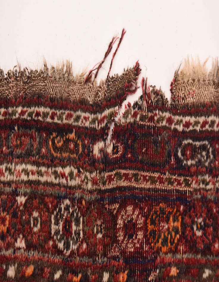 Detail image of  7' 2 x 10' 6  Hand Knotted Ghashghaei Persian Wool Rug