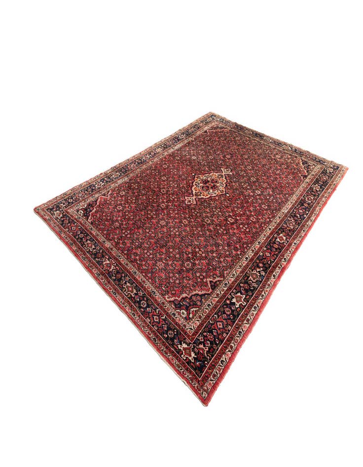 Detail image of  8' 11 x 12' 2 Hamedan Wool Rug