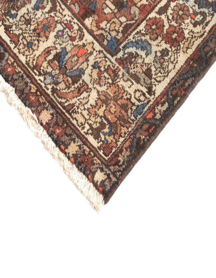 Detail image of  4' 5 x 9' 2 Hamedan Rug