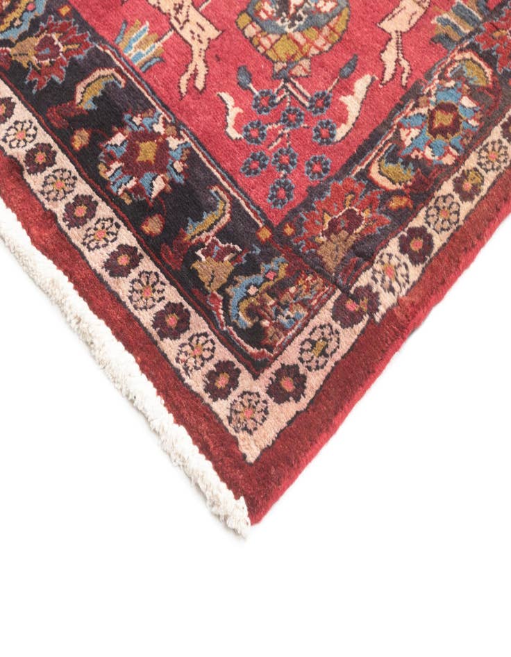 Detail image of  4' 3 x 8' 10 Hamedan Rug