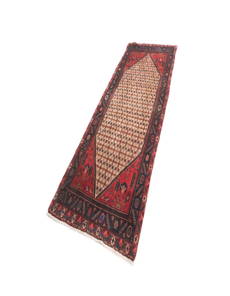 Detail image of  3' 6 x 9' 3 Hamedan Rug