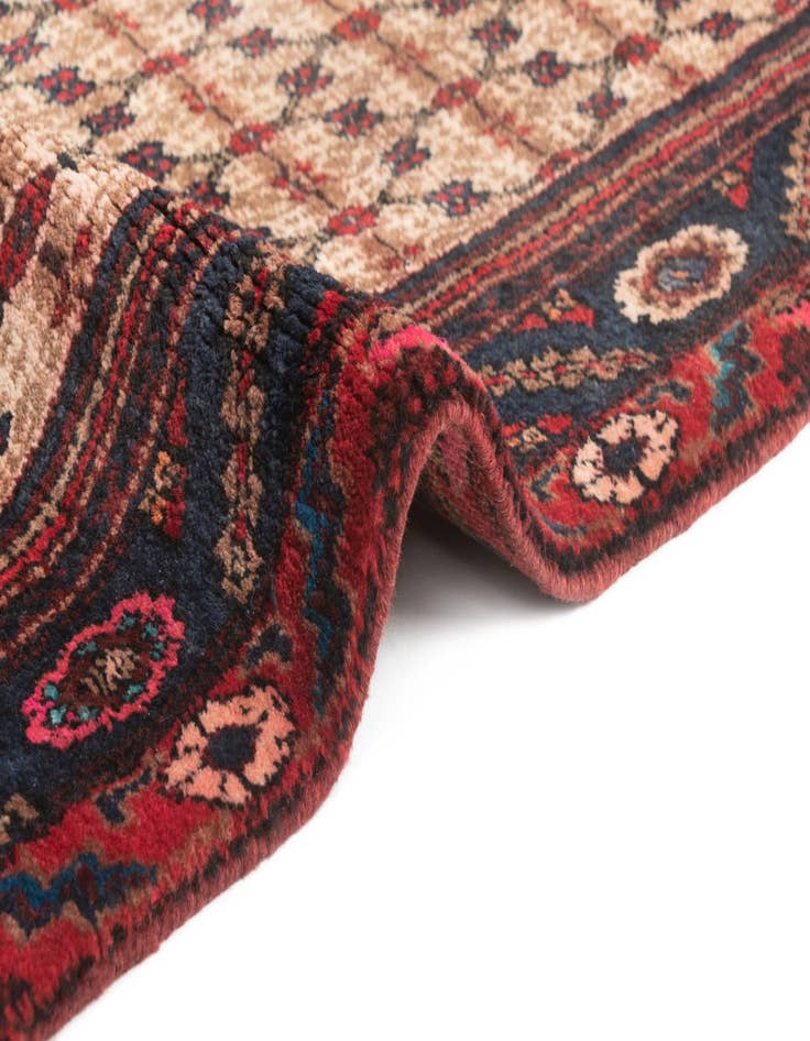 Detail image of  3' 6 x 9' 3 Hamedan Rug