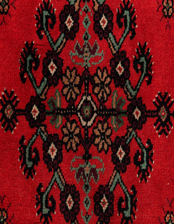 Detail image of  6' 6 x 9' 4  Hand Knotted Hamedan Wool Rug