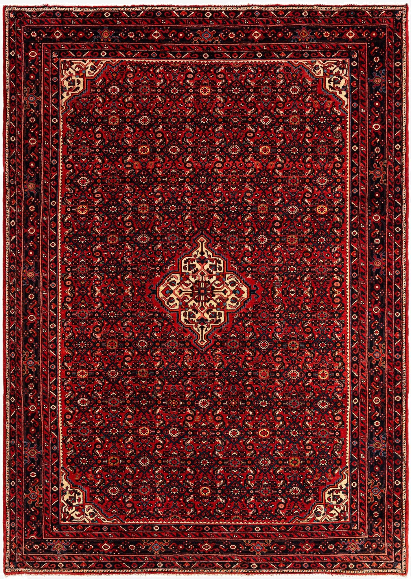  7' 1 x 10' 1 Hamedan Wool Rug