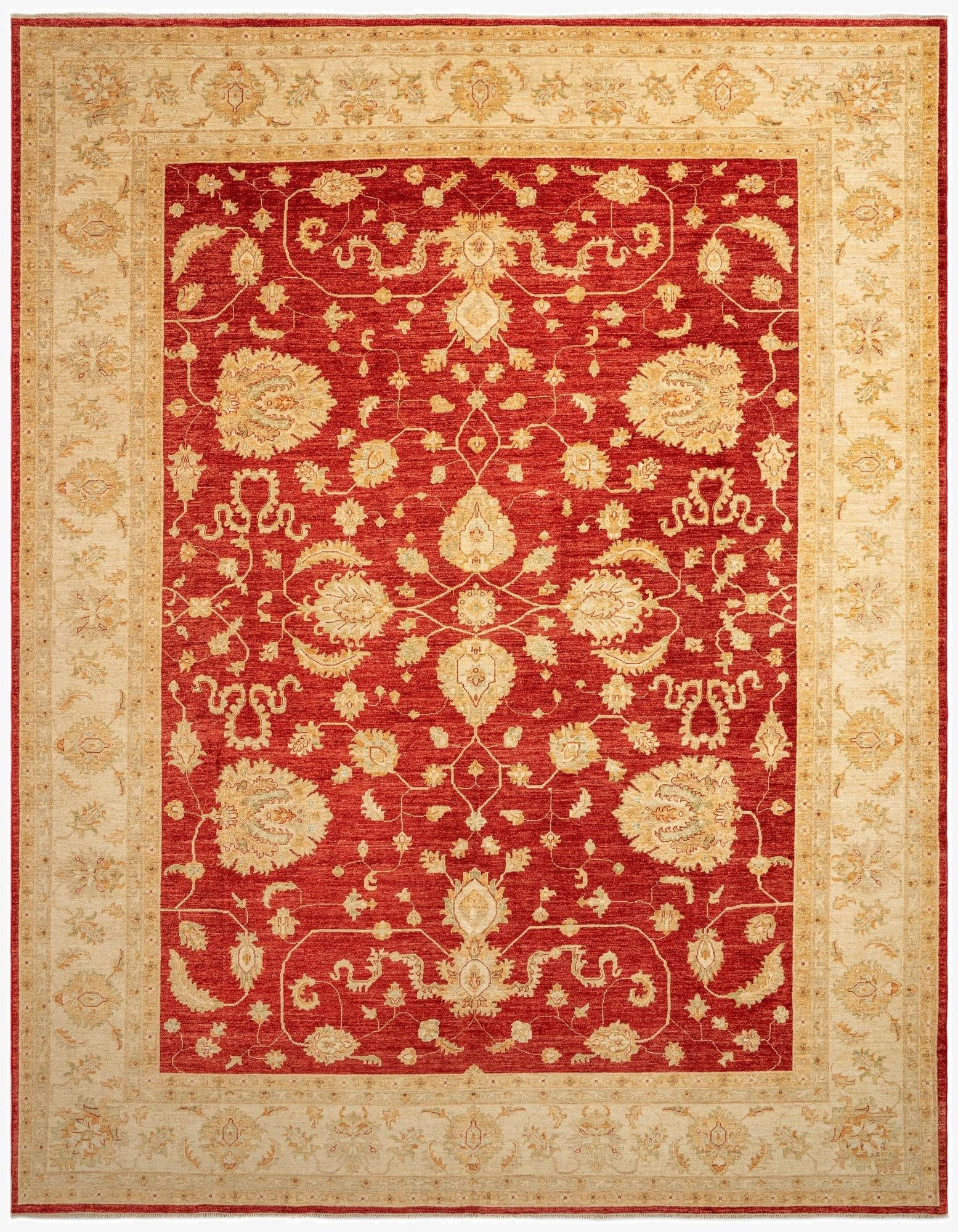  9' 11 x 12' 11 Kaizar Wool Rug