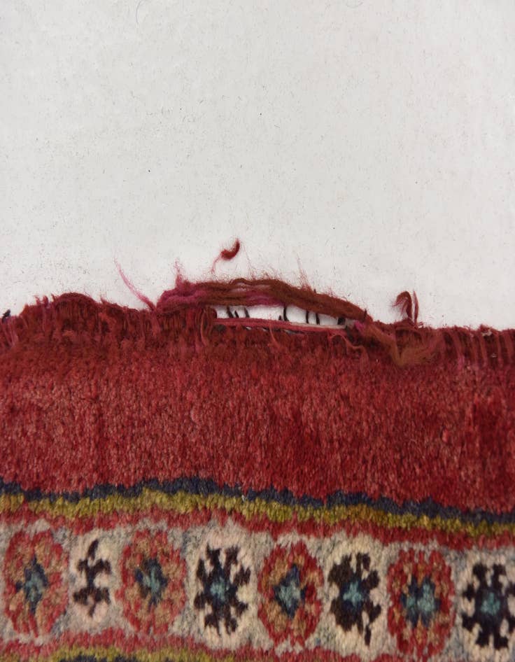 Detail image of  9' 7 x 12' 10  Hand Knotted Kashmar Persian Wool Rug