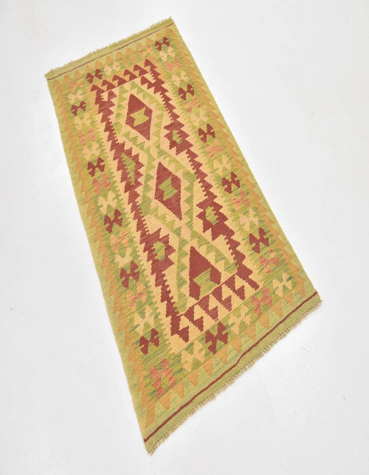 Detail image of  2' 7 x 4' 4  Hand Woven Kilim Waziri Wool Rug