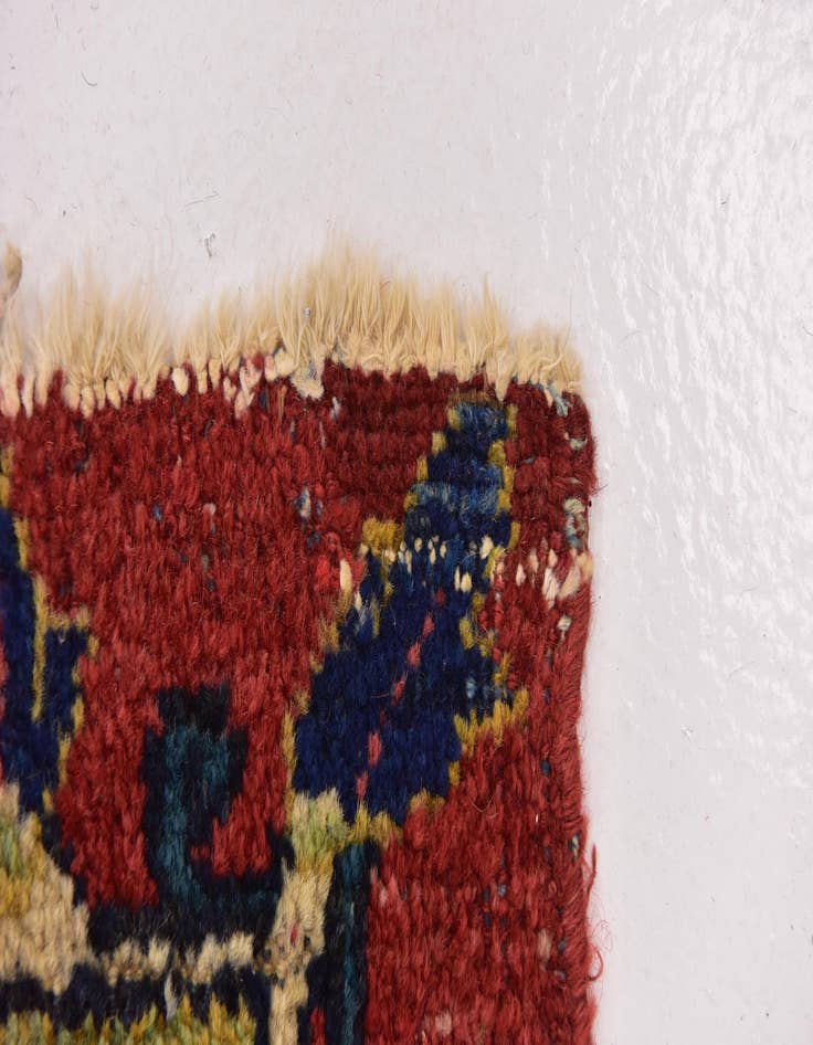 Detail image of  10' 3 x 14'  Hand Knotted Meshkabad Persian Wool Rug