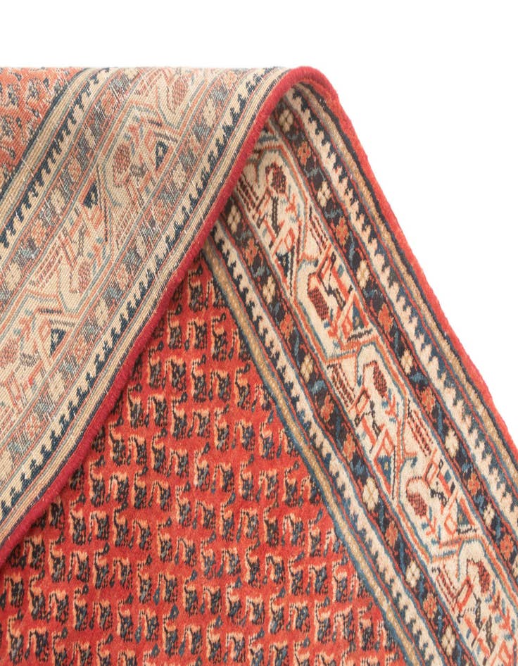 Detail image of  3' 10 x 9' 2 Mir Rug