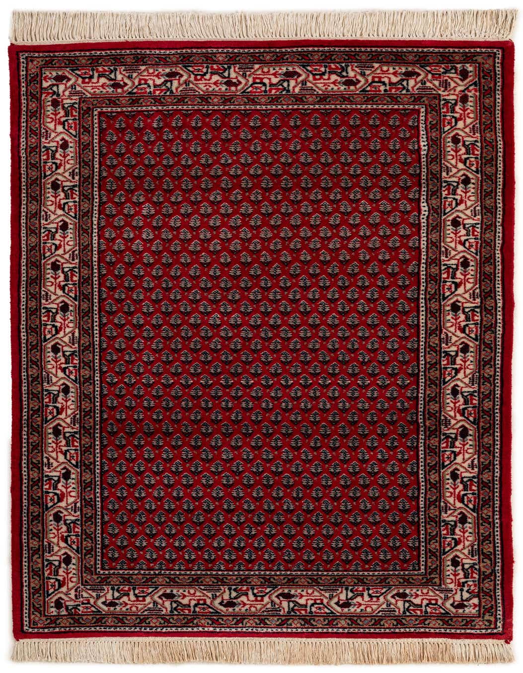 A 3x5 rectangular red Oriental rug with a detailed floral pattern and a cream and black border, featuring white fringe.