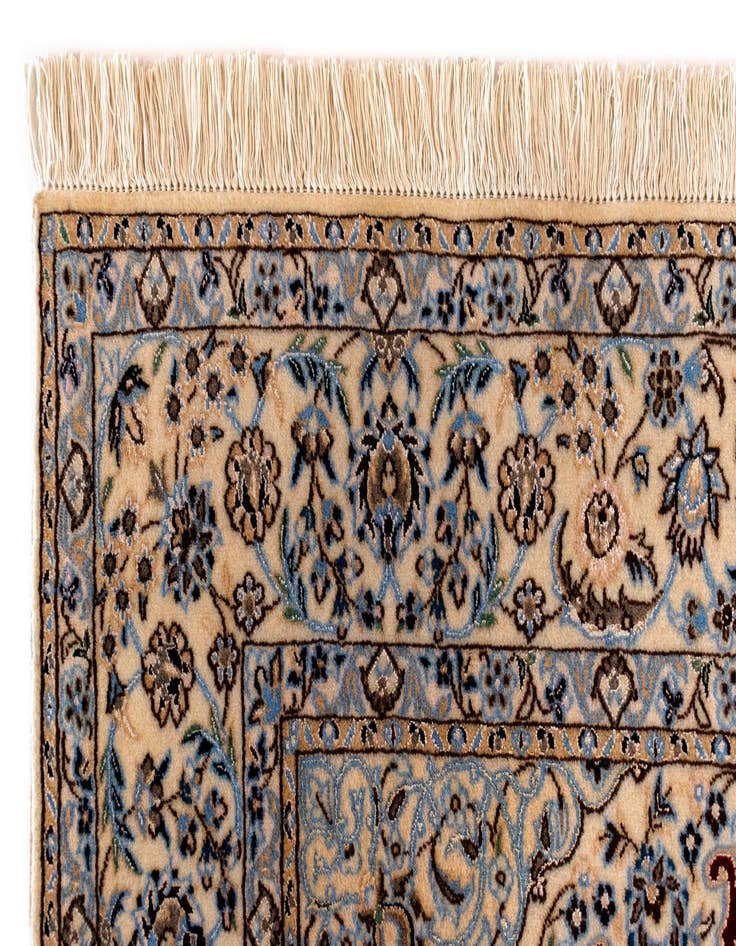 Detail image of  4' 1 x 6' Nain Rug