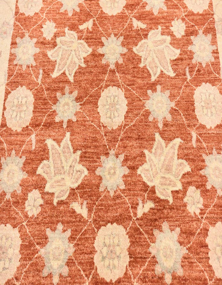 Detail image of  5' 7 x 7' 9  Hand Knotted Peshawar Ziegler Wool Rug