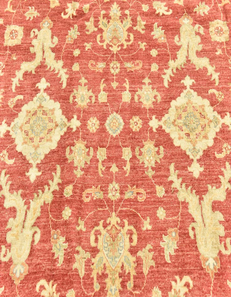 Detail image of  6' 8 x 9' 1  Hand Knotted Peshawar Ziegler Rug