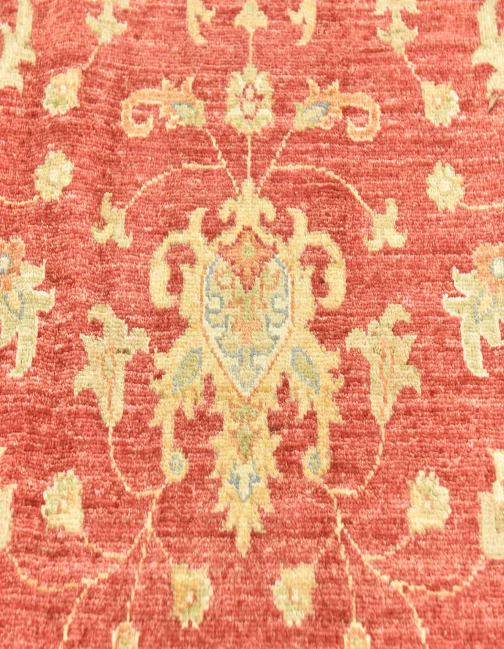 Detail image of  6' 8 x 9' 1  Hand Knotted Peshawar Ziegler Rug