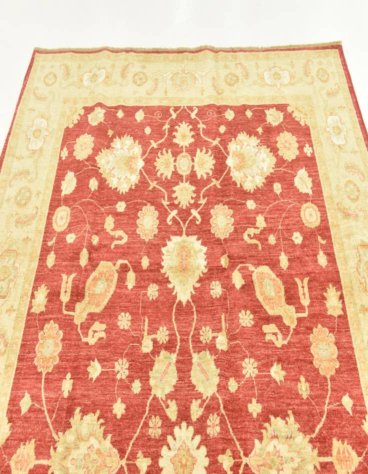 Detail image of  6' 7 x 9' 7  Hand Knotted Peshawar Ziegler Rug