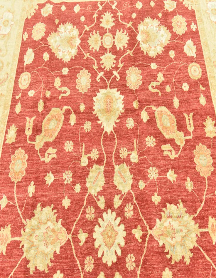 Detail image of  6' 7 x 9' 7  Hand Knotted Peshawar Ziegler Rug