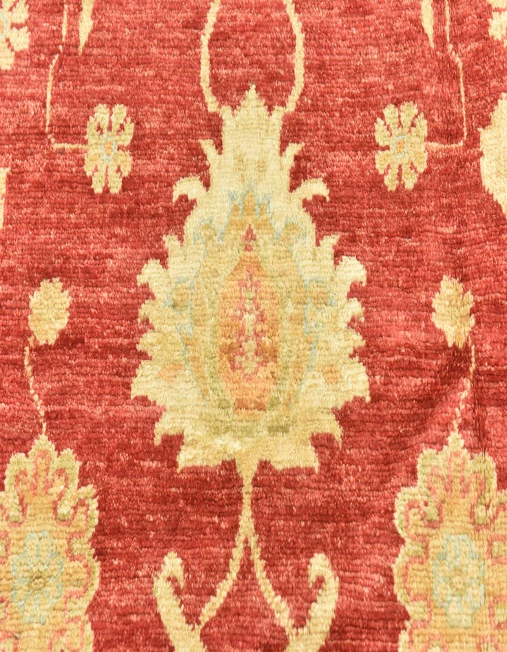 Detail image of  6' 7 x 9' 7  Hand Knotted Peshawar Ziegler Rug