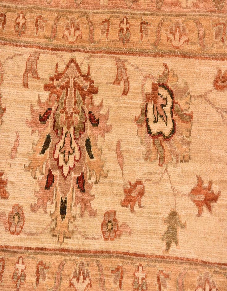 Detail image of  9' 11 x 12' 11  Hand Knotted Peshawar Ziegler Rug