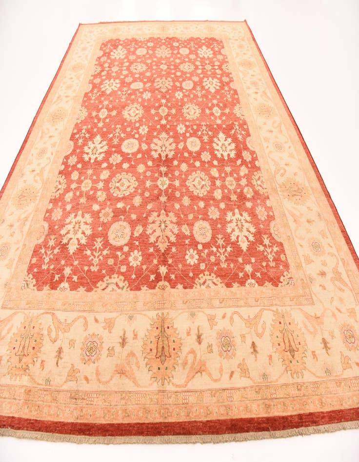 Detail image of  9' 10 x 13' 1  Hand Knotted Peshawar Ziegler Rug