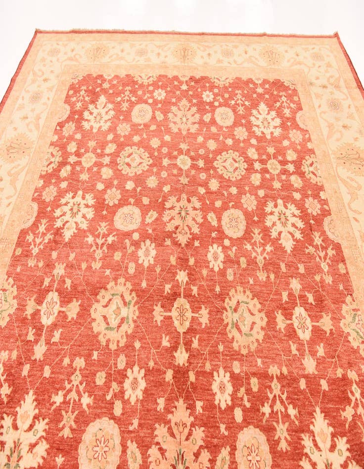 Detail image of  9' 10 x 13' 1  Hand Knotted Peshawar Ziegler Rug