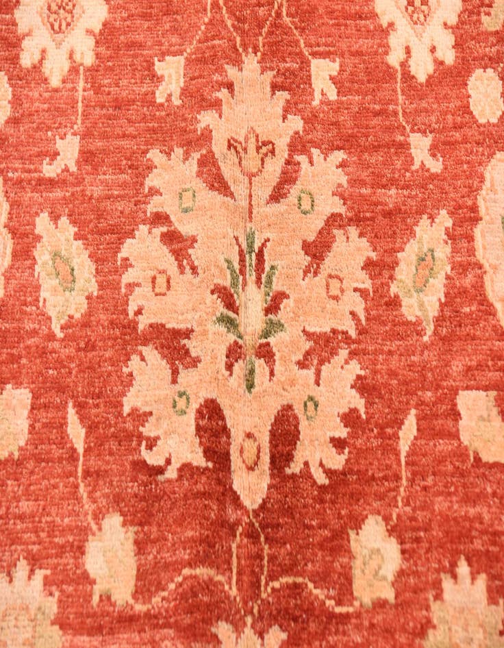 Detail image of  9' 10 x 13' 1  Hand Knotted Peshawar Ziegler Rug