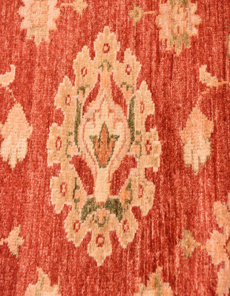 Detail image of  9' 10 x 13' 1  Hand Knotted Peshawar Ziegler Rug