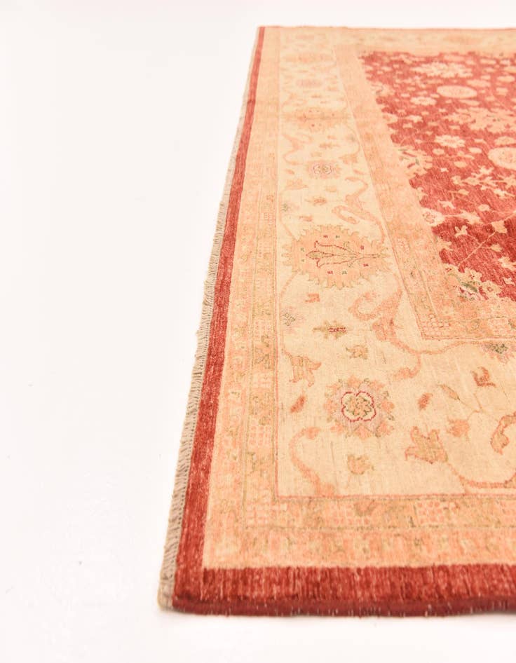 Detail image of  9' 10 x 13' 1  Hand Knotted Peshawar Ziegler Rug