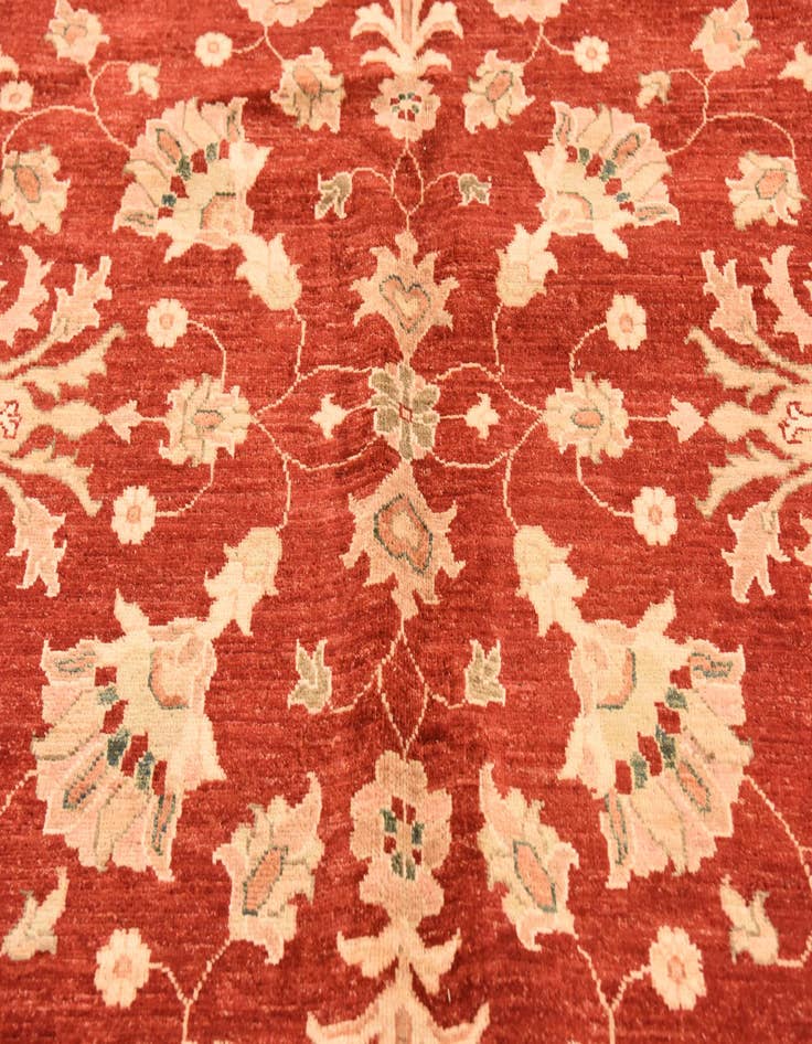 Detail image of  9' 11 x 12' 9  Hand Knotted Peshawar Ziegler Rug