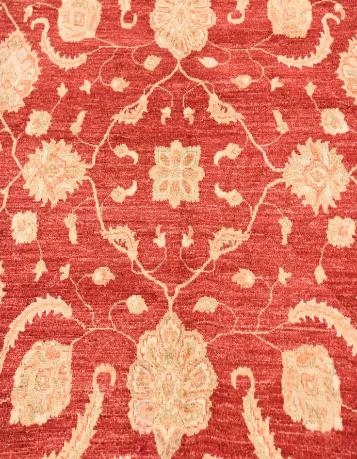 Detail image of  10' x 13'  Hand Knotted Peshawar Ziegler Rug