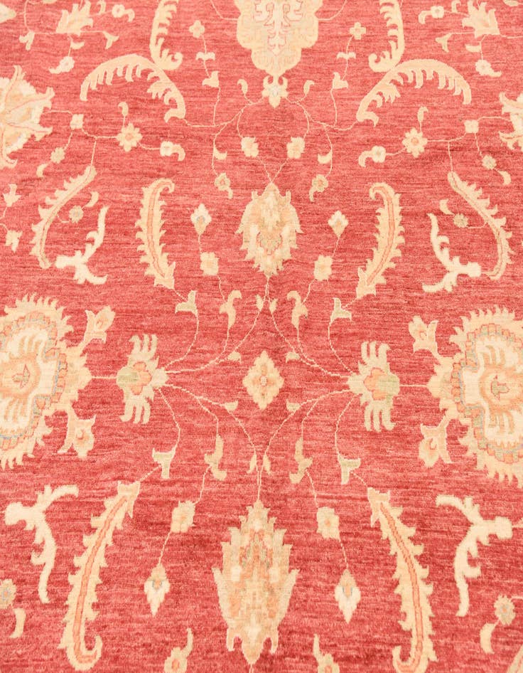 Detail image of  10' x 12' 10  Hand Knotted Peshawar Ziegler Rug