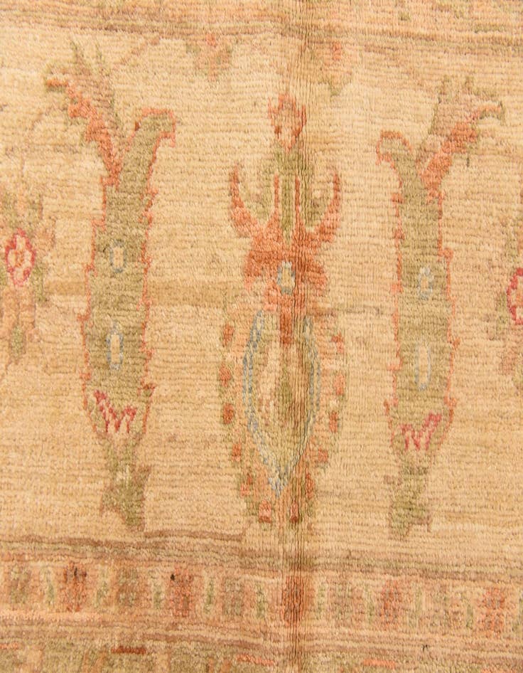 Detail image of  8' 3 x 11' 5  Hand Knotted Peshawar Ziegler Rug
